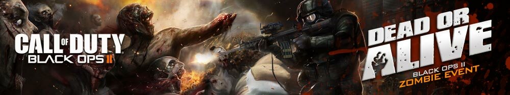 CoD Black Ops 2 Zombies Ladders - late 2012/Jan 2013